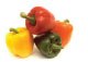 Bell Peppers / Capsicums