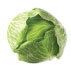 Green Cabbage (December Harvest)