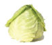 Green Cabbage (March Harvest)