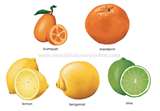 Acidic Fruits